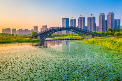 外滩湿地夏日美景