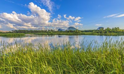 阳明滩湿地