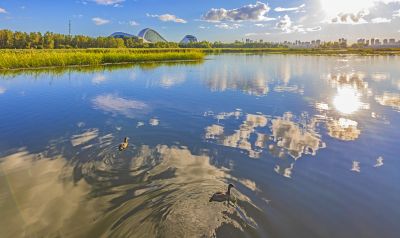 阳明滩湿地