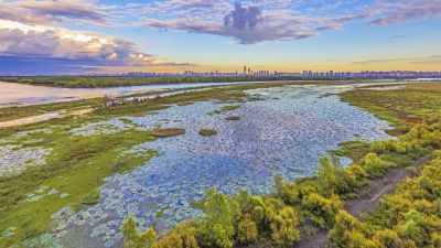阳明滩湿地