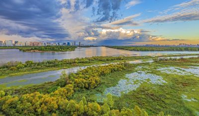 阳明滩湿地
