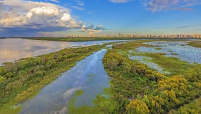 阳明滩湿地