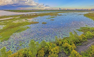 阳明滩湿地