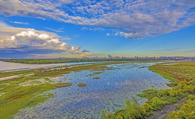 阳明滩湿地