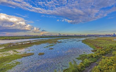 阳明滩湿地