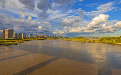 阳明滩湿地