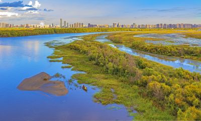 阳明滩湿地