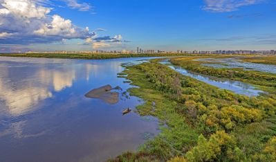 阳明滩湿地