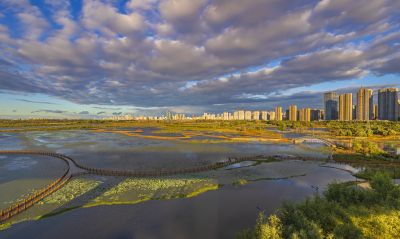 外滩湿地初秋