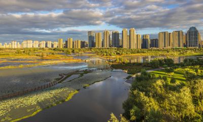 外滩湿地初秋
