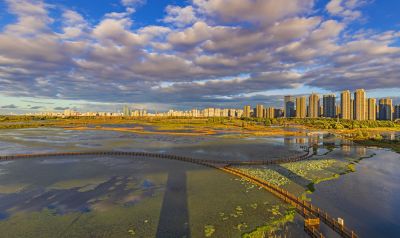 外滩湿地初秋