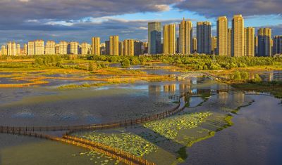外滩湿地初秋