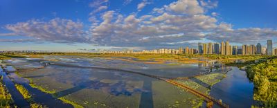 外滩湿地音乐公园初秋
