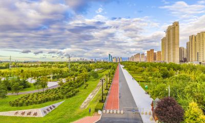 外滩湿地音乐公园初秋
