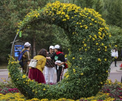 中国亭园菊花展