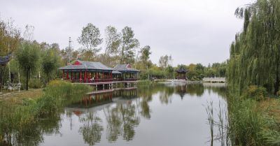 中国亭园菊花展