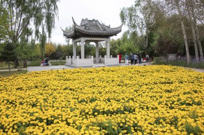 中国亭园菊花展