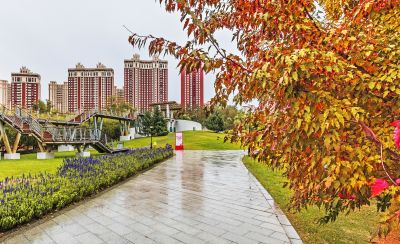 雨阳公园秋色