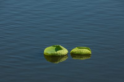 残荷