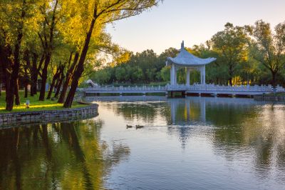 秋色初染太阳岛1