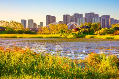 晨光中的哈尔滨中东铁路公园