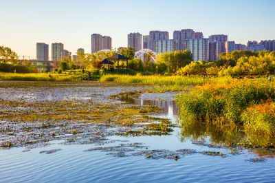 晨光中的哈尔滨中东铁路公园