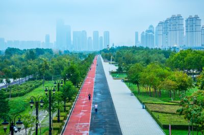 晨雾中的外滩湿地