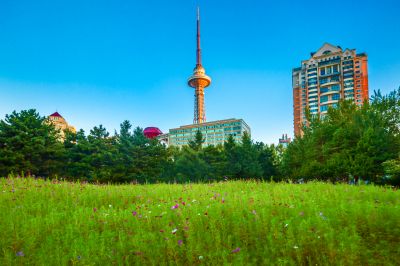 湘江公园掠影