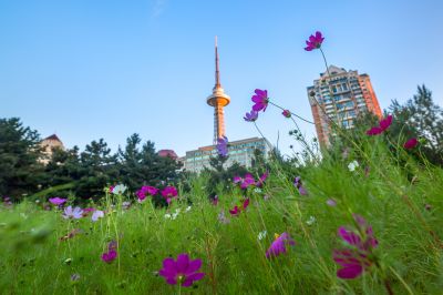 湘江公园掠影