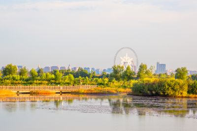 外滩湿地秋韵3