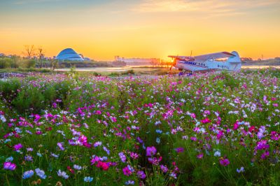大剧院江畔滨水大道花海