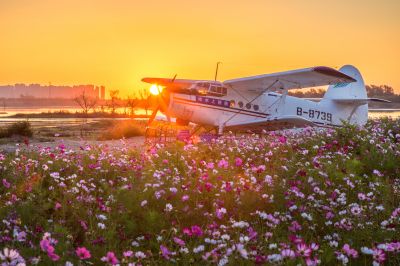 大剧院江畔滨水大道花海
