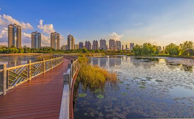 外滩湿地秋色