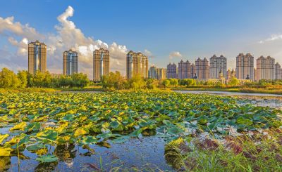 外滩湿地秋色