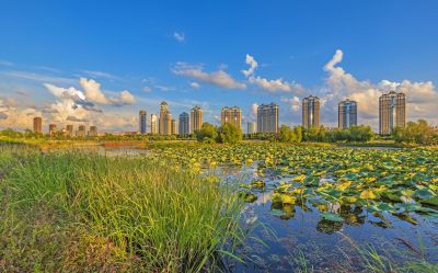 外滩湿地秋色