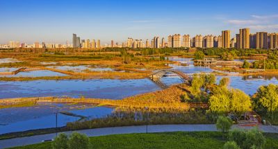 群力外滩湿地