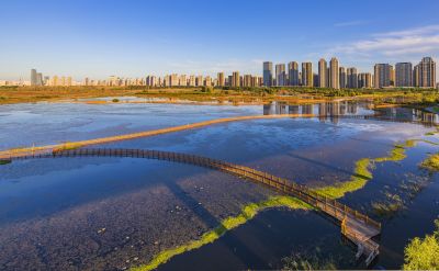 群力外滩湿地
