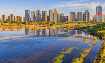 群力外滩湿地