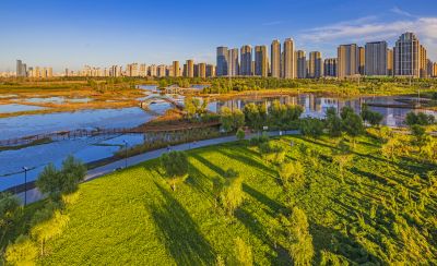 群力外滩湿地