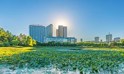 市政府广场一湖三岛秋色