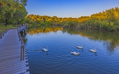 太阳岛初秋