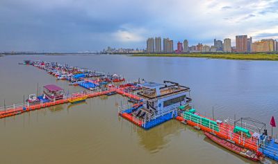 公路大桥风光