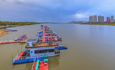 公路大桥风光