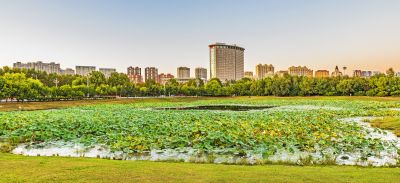 市政府广场一湖三岛
