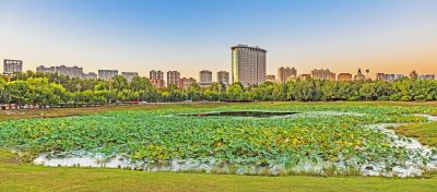市政府广场一湖三岛