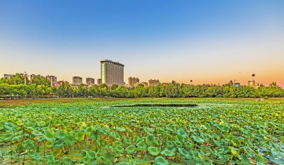 市政府广场一湖三岛