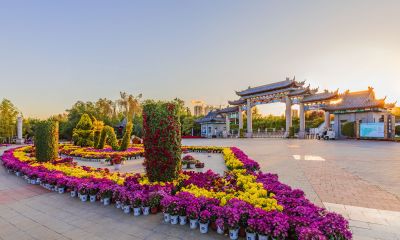 中国亭园2022年菊花展