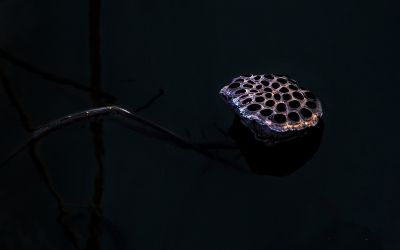 残荷