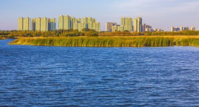 深秋的大剧院湿地