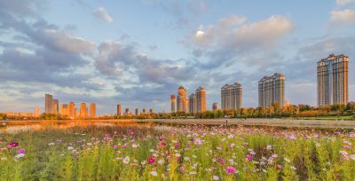 音乐公园外滩湿地